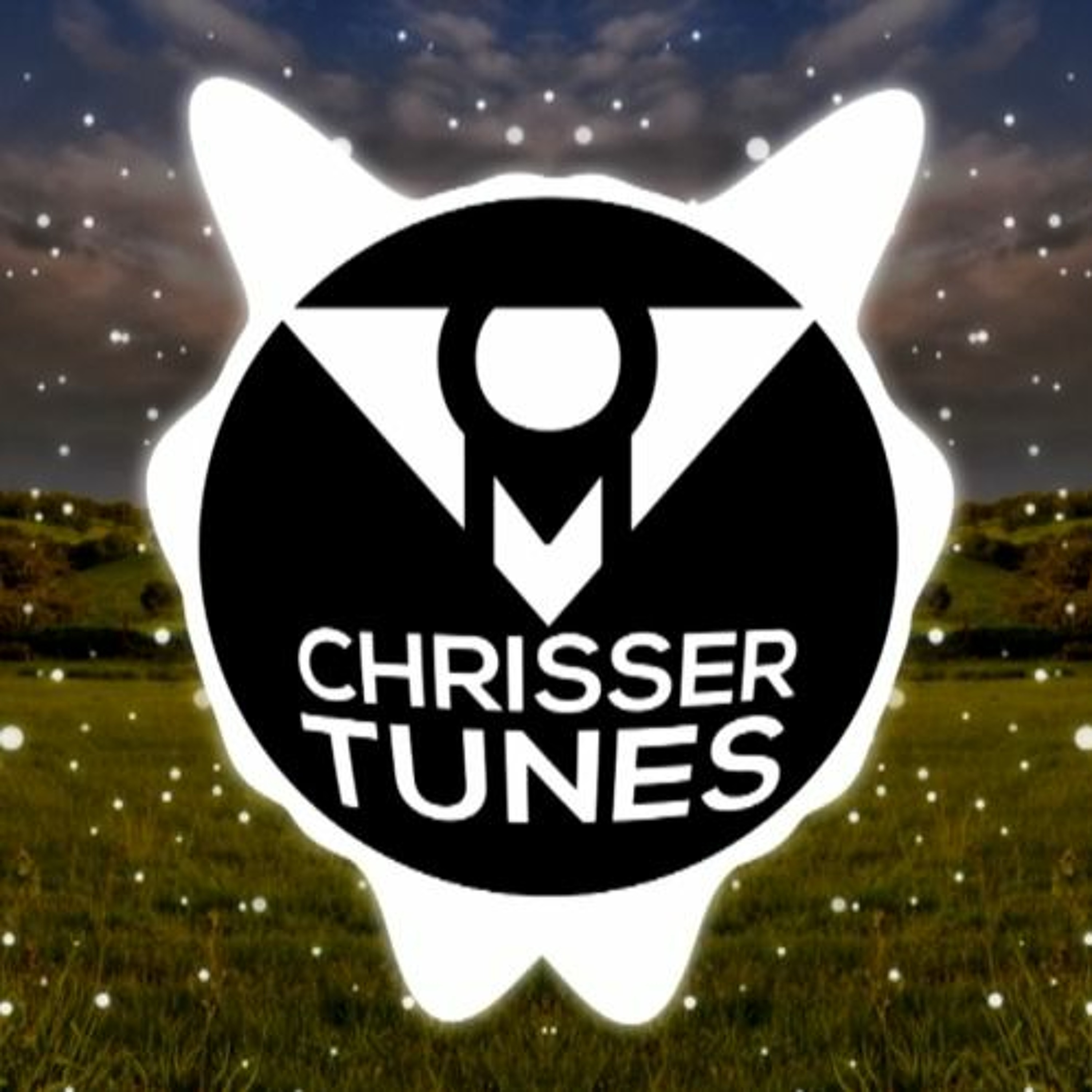FINEST LOOPS