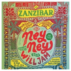 DJ Willjam Warm-Up At Klubb Zanzibar 130516