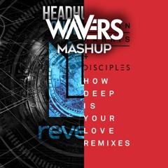 Calvin Harris & Disciples vs Headhunterz - How Deep is Your Love Once Again [Wavers Mashup] FREE