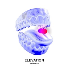 Elevation - Uninstall Your Ears Kid