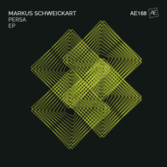 Markus Schweickart - Rare (Original Mix)