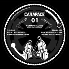 PANDRO - Wizard spirit (CARAPACE 01)