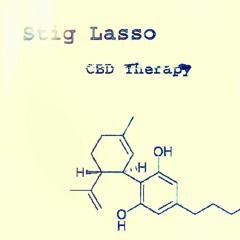 Stig Lasso - Once I Had Love
