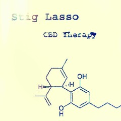 Stig Lasso - How Many Sugars