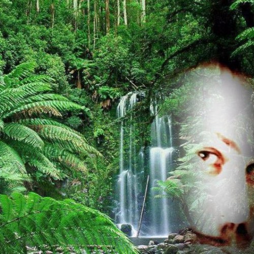 Amazonia (P.K-original Mix)