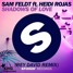 Shadows Of Love (ft. Heidi Rojas)  (Rey David Remix )