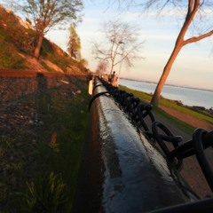 The Arrogant Bastard - Original