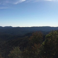 hills