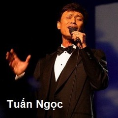 Vi Do La Em - Tuan Ngoc