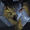 Drake 5am In Toronto Rich Movez Mp3