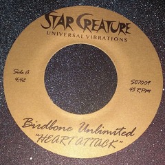 SC7009A - Birdbone Unlimited - "Heart Attack" (Out now on 7" and Bandcamp Digital)