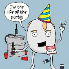 Life Of The Party Good Bounce (online - Audio - Converter.com)