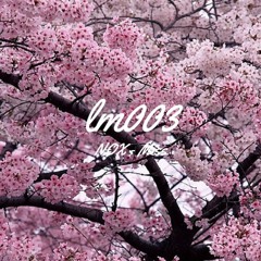 NOX - Miss