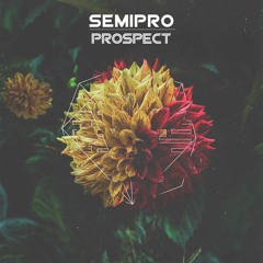 SemiPro - Prospect