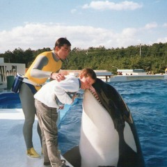 DJ ROH - BUY NOW NOT MANY 2016