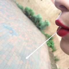 Selfish Sally Sells her Soul by the Seashore