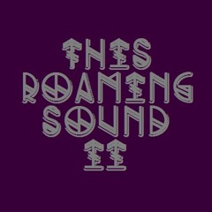 This Roaming Sound II