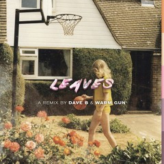 Dave B - Leaves Remix (feat. Brian Chinn)