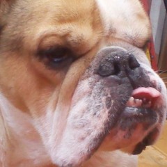 and then there was two