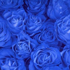 FREQUENZ - Синие Розы (Ты смеялась надо мной)