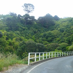 nunui - Artist: Jim Langabeer and Rosie Langabeer