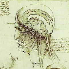 Neuroscience in the Renaissance