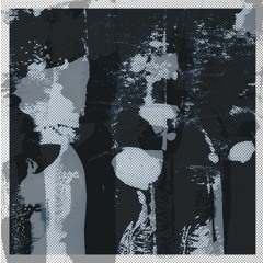 AnD - Non Sky Signal Noise (Uptempo)