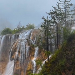 Wet Morning [Instrument]