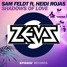 Shadows Of Love (ft. Heidi Rojas) [ZEVS Remix]