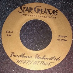 7009B - Birdbone Unlimited - "Not Gonna Stop" (Brian Ellis + Tim Tucker)(Out now!)