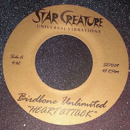 7009B - Birdbone Unlimited - "Not Gonna Stop" (Brian Ellis + Tim Tucker)(Out now!)