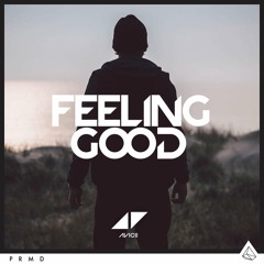 Avicii - Feeling Good