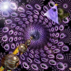 Parallel Perspectives - Odd Sock and Folding Time