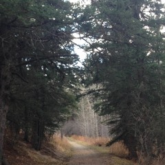 Kathy Raddatz's Instagram, Twitter & Facebook on IDCrawl