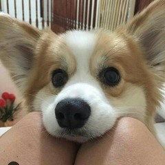 Suara Hati Seorang Kekasih (Piano Cover)