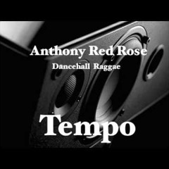 Anthony Red Rose - Tempa (Stijn Dub remix)