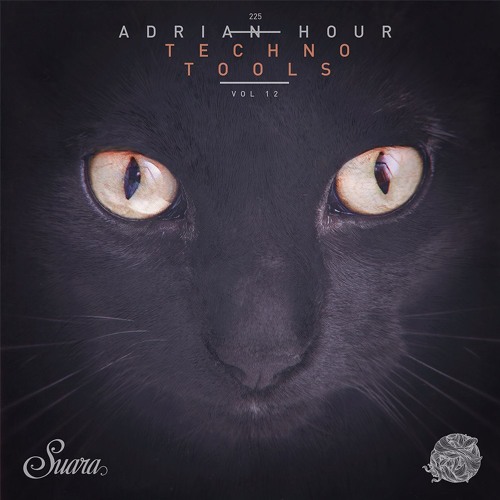 [Suara 225] Adrian Hour - Avalon (Original Mix) Snippet
