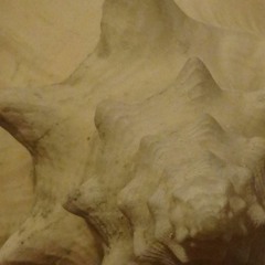 Jeff Kessel - She'll Never Forget (Boas Mix)