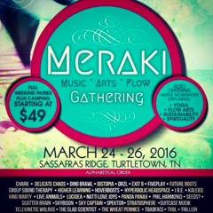 N.E.D. - Distopia Live Band @ Meraki Gathering 2016