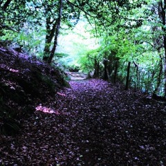 Hip-Hop 2 by SirMixaLot (plug.dj)