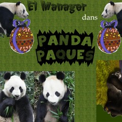 Panda Pacques