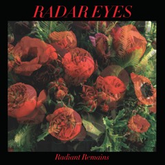 Radar Eyes - Community