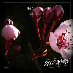 Du Saint - Turn It Up (Originalmix) @Deep insane
