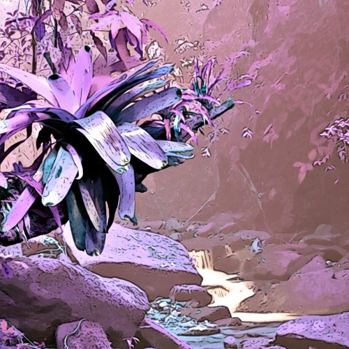 XELΛRΛIN - Views From The Basement(Original)[Free DL]