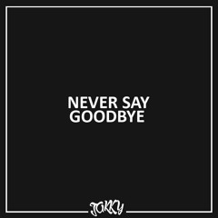 Hardwell & Dyro feat. Bright Lights - Never Say Goodbye [Jakky Bootleg]
