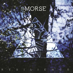 The Mouse
