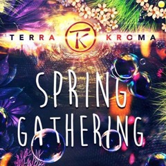 -=Psilovybe=- <)(>Live at Terrakroma Spring Gathering<)(>