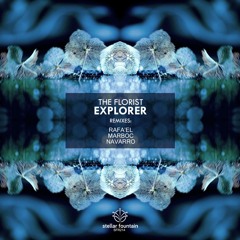 The Florist - Explorer (Navarro Remix)