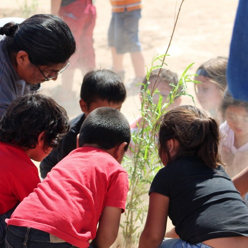 Tree Planting Project