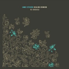 Jamie Stevens - Healing Crimson (Re-Grooved) || Free Download